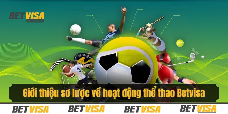 Không gian cá độ thể thao Betvisa chinh phục được lượng khách hàng